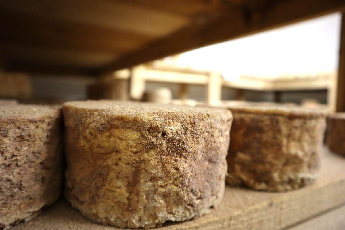 Fromage aux Artisons : Trésor Fromager du Velay