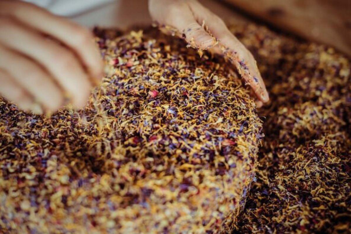 L'origine de la Tomme aux Fleurs