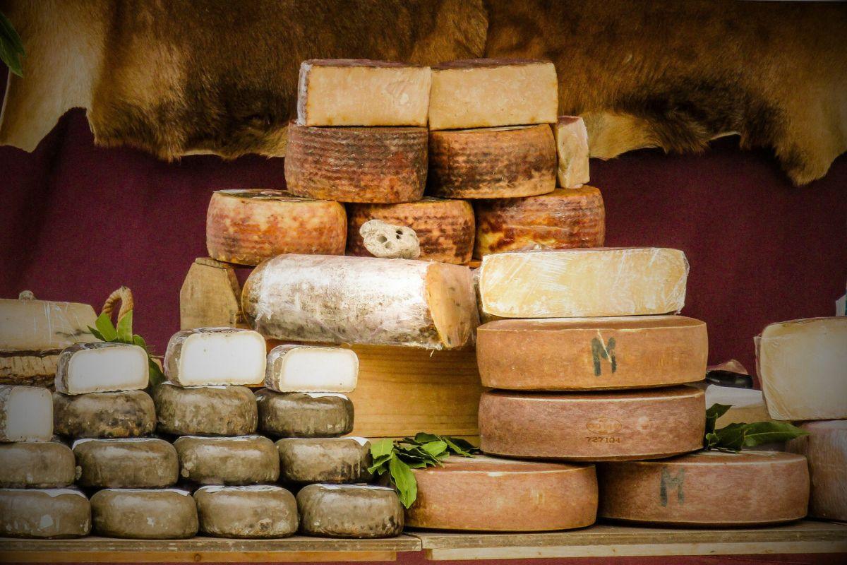 Fromages de brebis une culture ancestrale - Fromagerie du Château