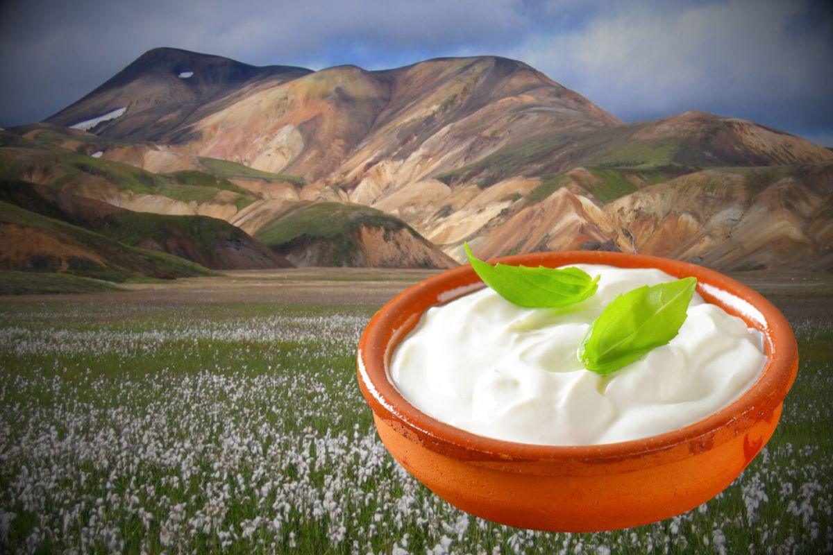 Le Skyr : Origines, Calories, Goût et Recettes Gourmandes - Fromagerie du Château