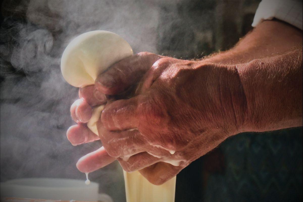 Les Caractéristiques des Meilleures Mozzarella du Monde - Fromagerie du Château