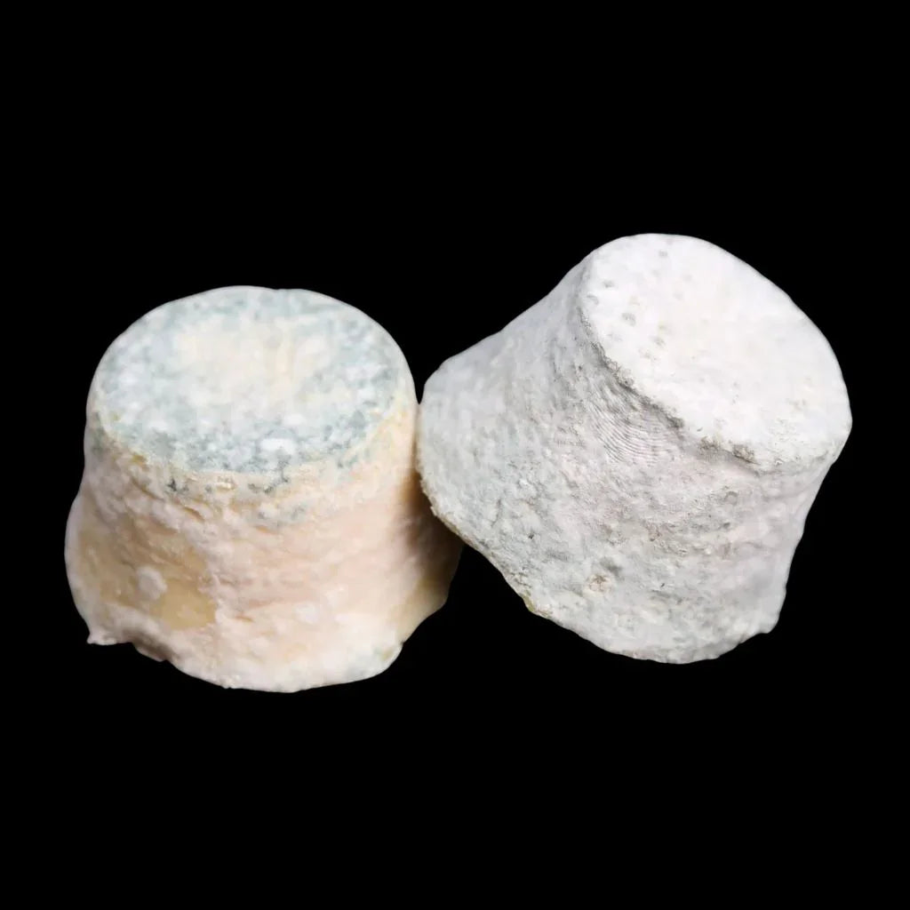 Bouton de Culotte Chèvre fermier affiné semaines Fromagerie du