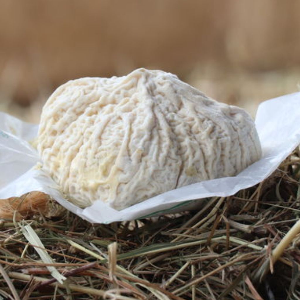 Gaperon Fermier à l’Ail d'Auvergne - Rare et de caractère