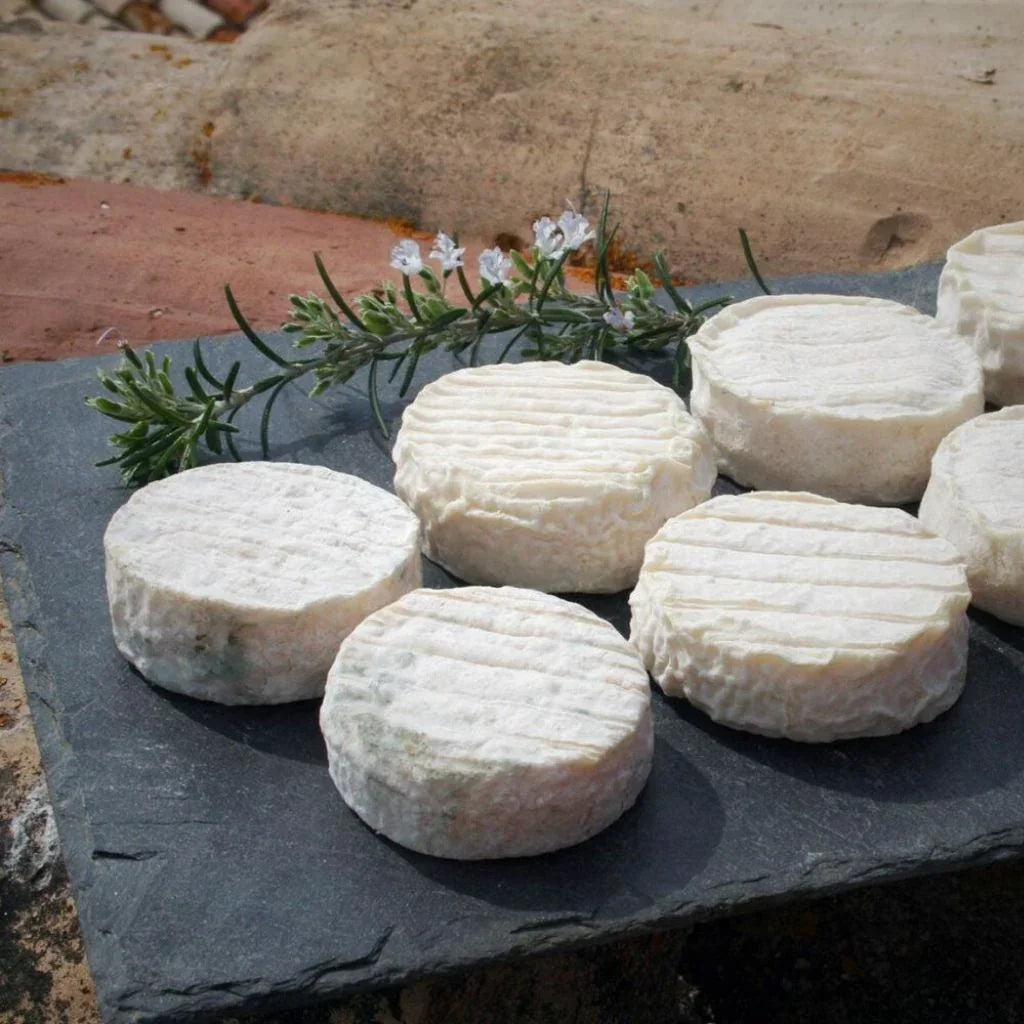 Pelardon AOP Chèvre Fermier - Cévennes Authentique