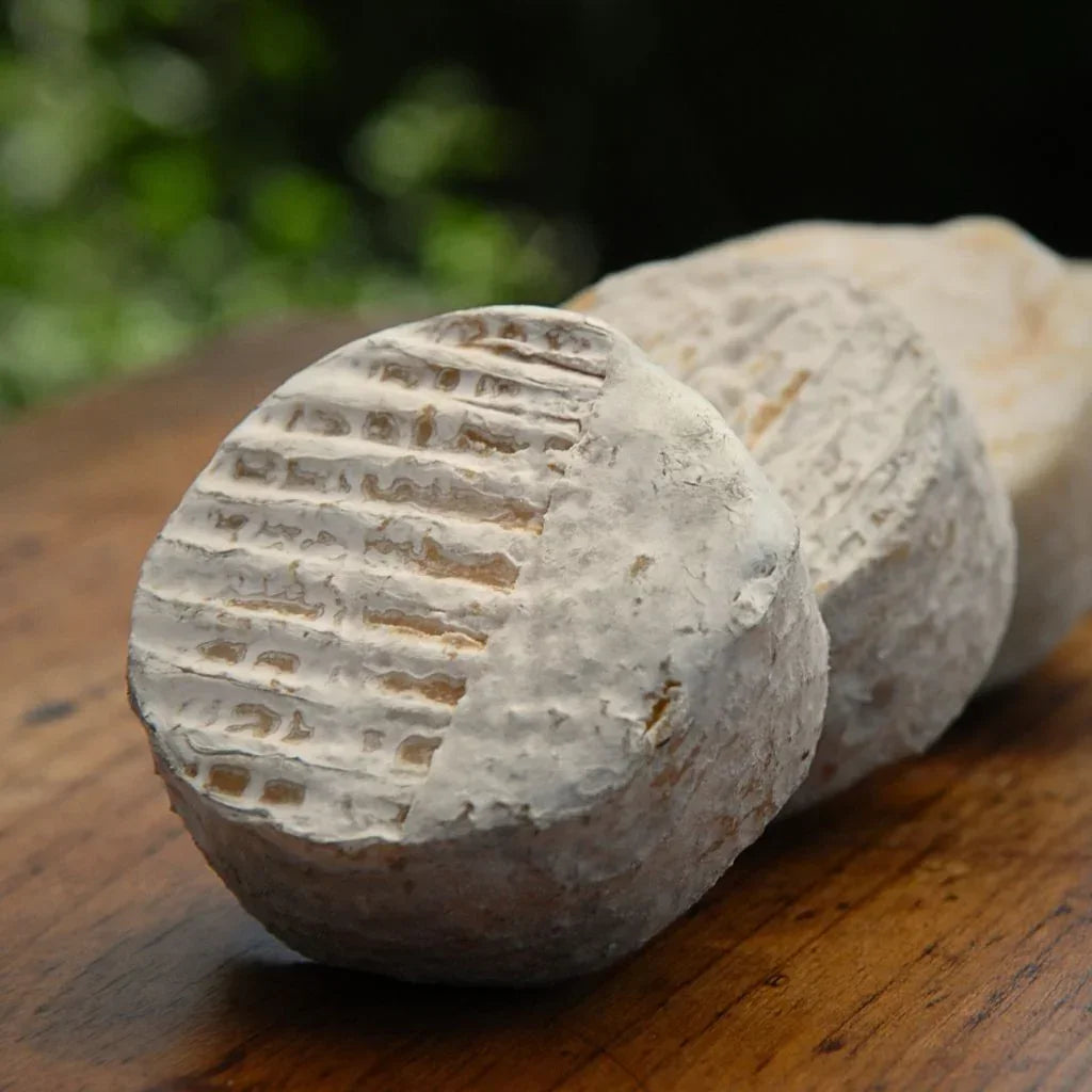 Rigotte de Condrieu AOP Chèvre fermier au lait cru