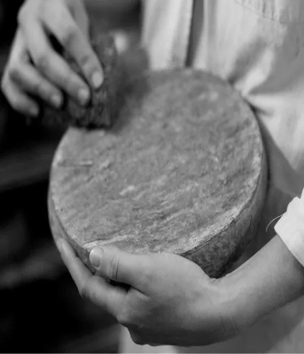 Affinage artisanal d'une meule de fromage, travail du maître fromager en atelier.