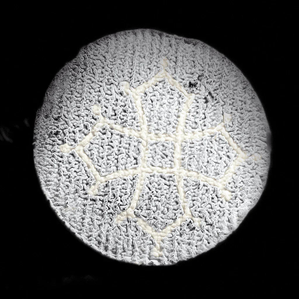Cathare chèvre fermier - Fromagerie du Château
