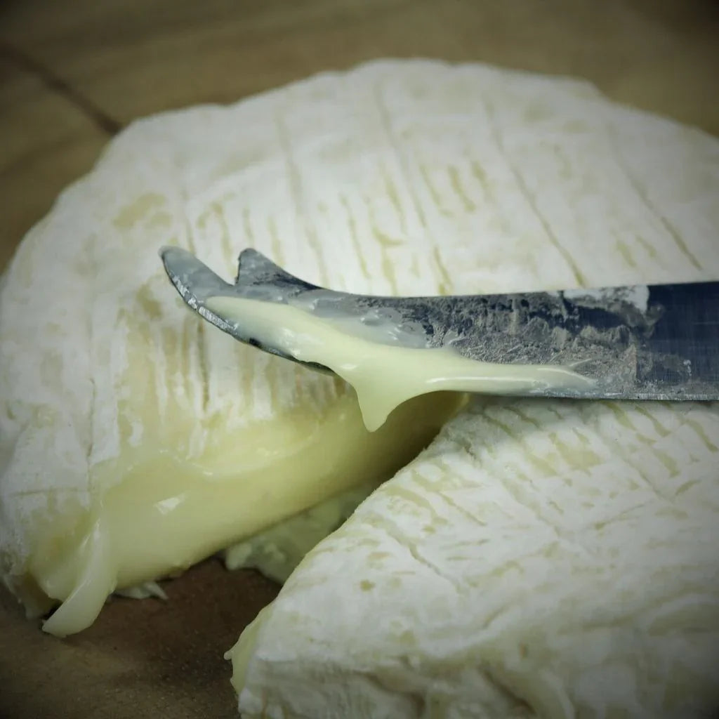 Pérail de Brebis Fermier - Fromage Lait Cru Aveyron