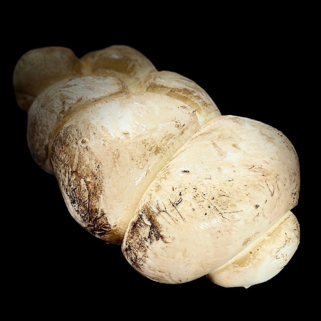 Tresse di bufala - Fromagerie du Château