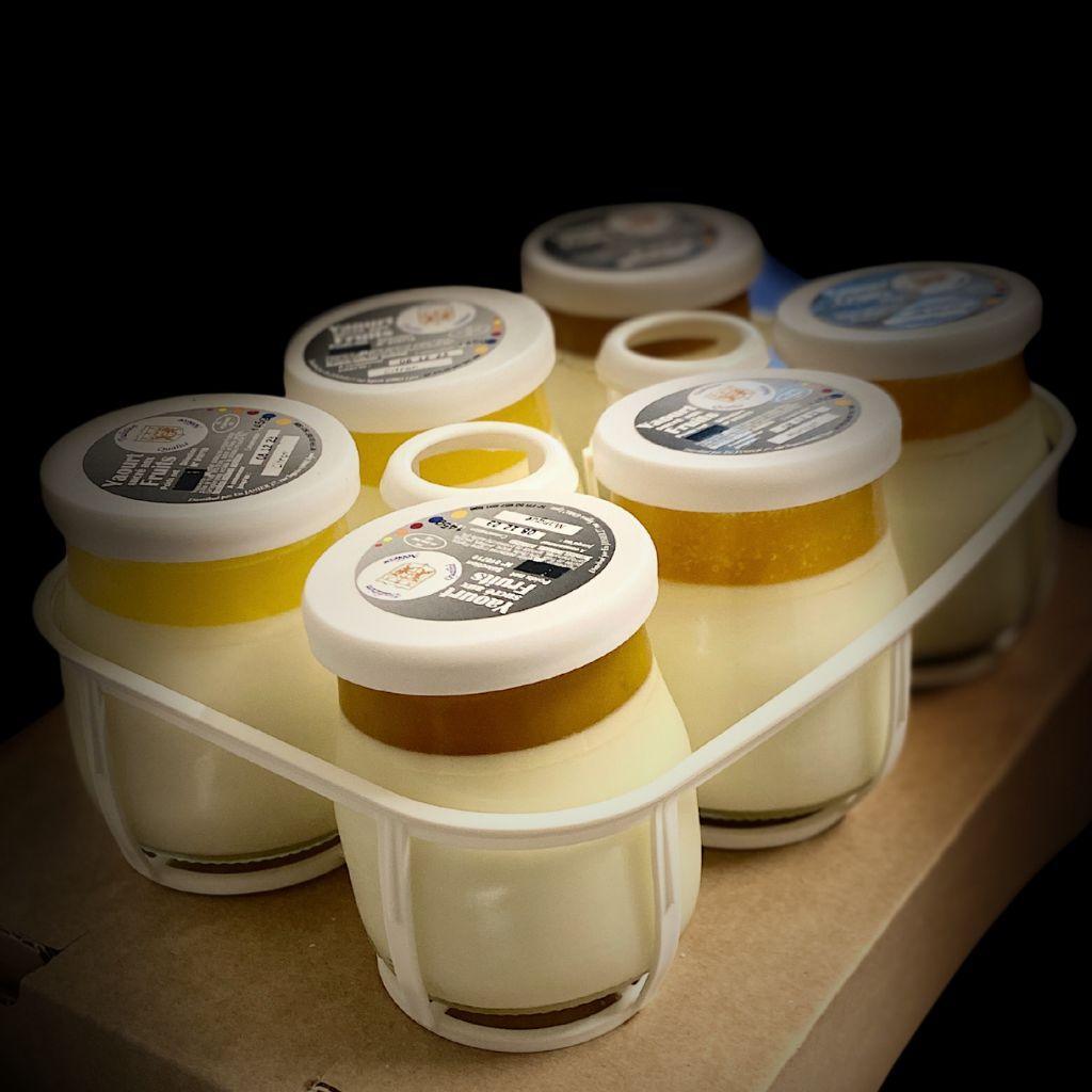 Yaourt bicouche artisanal aux fruits (145g x6) - Fromagerie du Château