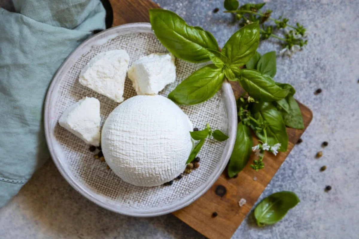 Quels sont les fromages les moins gras ? Guide de la teneur en matière grasse des fromages