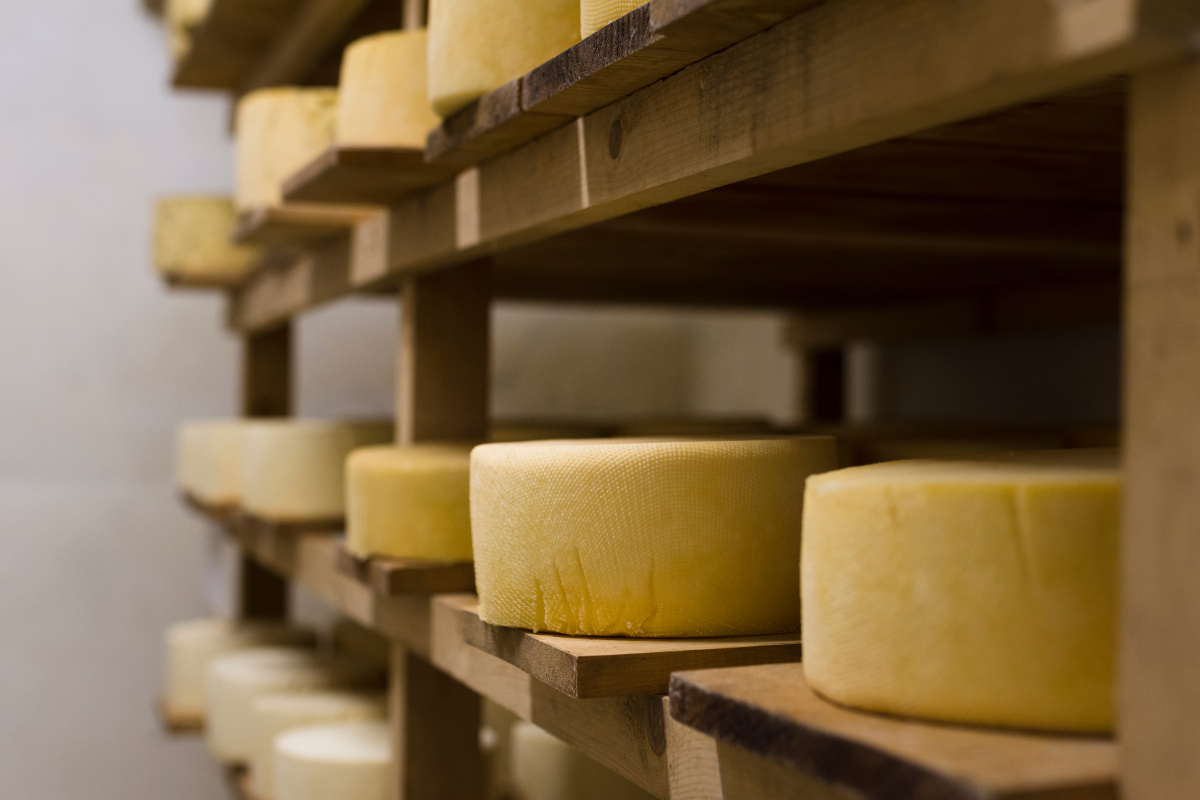 Les Bienfaits des Fromages au Lait Cru : Une Tradition à Redécouvrir