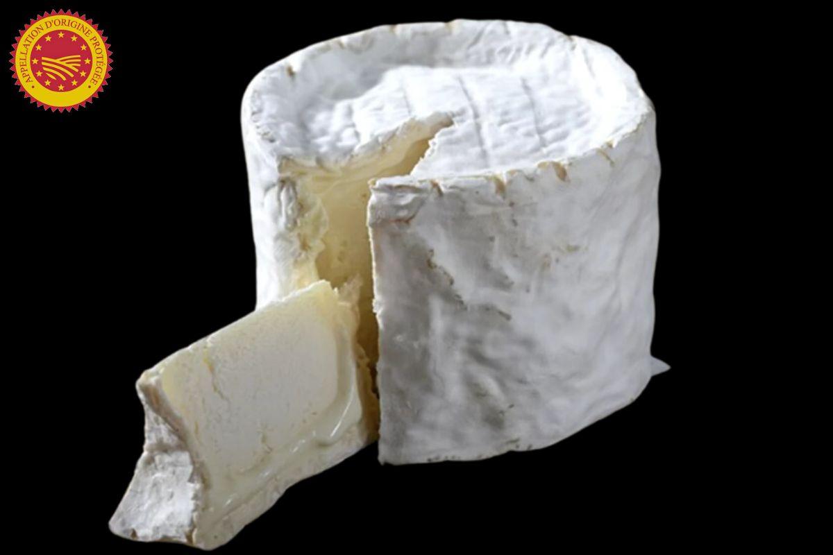 Chaource AOP - Fromagerie du Château