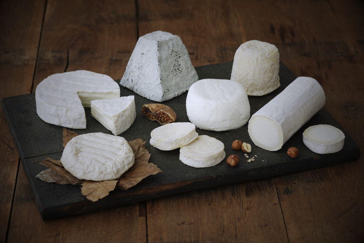 Savoureuse histoire du fromage de chèvre - Fromagerie du Château