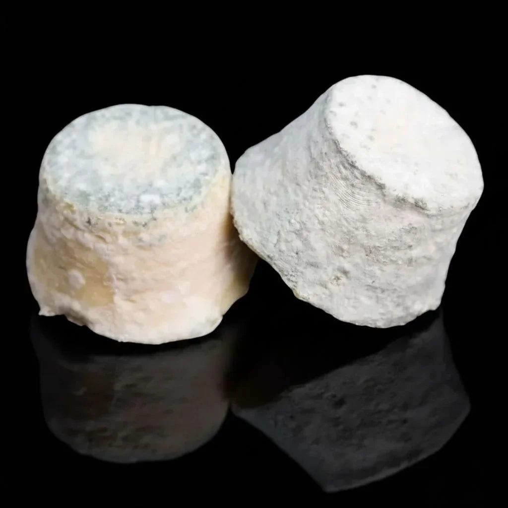 Bouton de Culotte Chèvre Fermier du Haut-Beaujolais