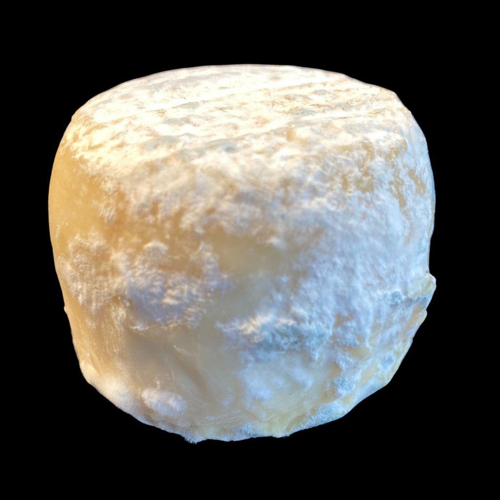 Crottin de Chavignol AOP Chèvre Fermier