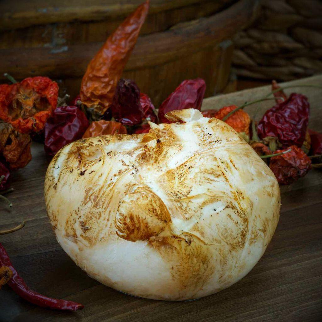 Mozzarella di Bufala Campana AOP fumée 250gr – Pâte filée premium