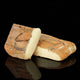 Taleggio AOP tradition lombarde - Crémeux & Fruité