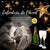 Calendrier de l’Avent Fromage Gourmand – 2 kg de fromages d’exception