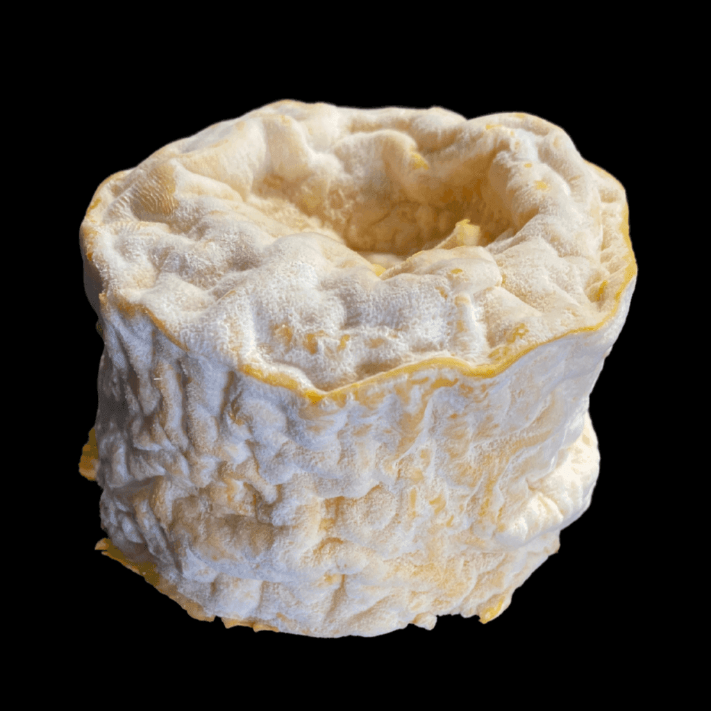 Langres fermier 230gr (AOP) - Fromagerie du Château