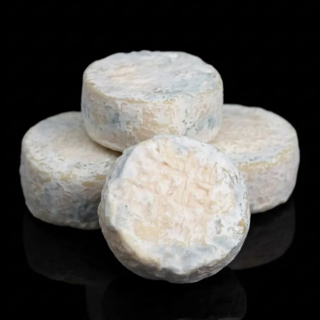 Rigotte de Condrieu AOP Chèvre fermier au lait cru