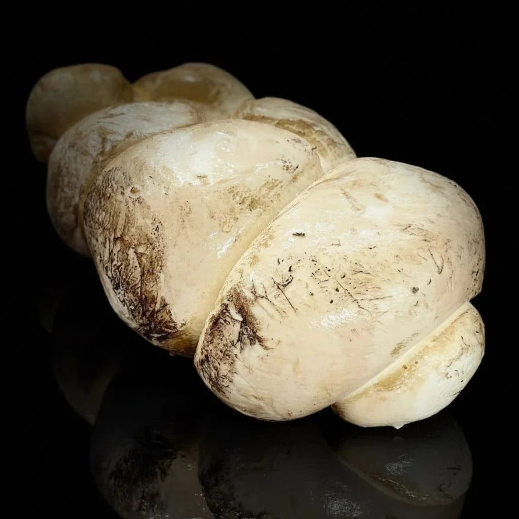 Tresse (Trecia) di Bufala Campana AOP fumée - fromage filée